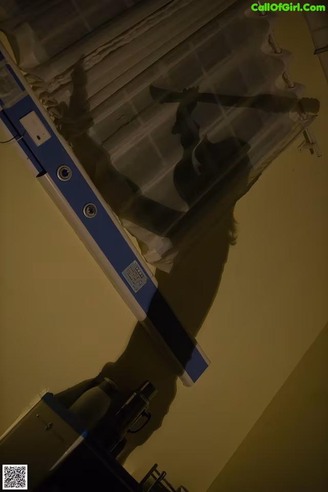 A shadow of a person standing in front of a window.